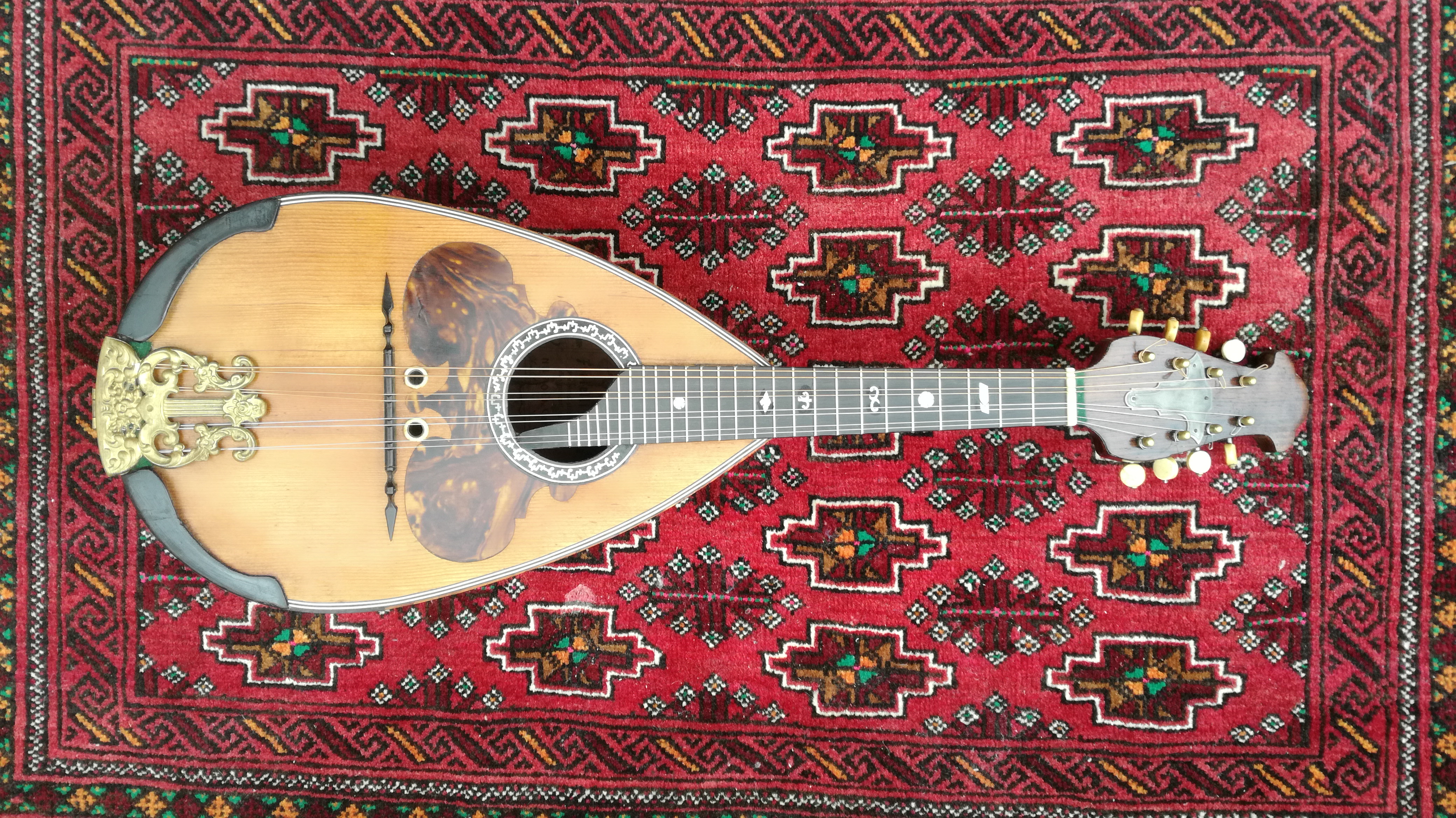 Mandolins for sale マンドリン カラーチェ | The Russian Embergher
